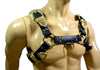 Gold Buckles Leather Bulldog Harness - MRI Leathers