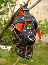 Leather Gear Face Hood Fetish Slave Extreme Bondage Muzzle Gag with D-rings - MRI Leathers